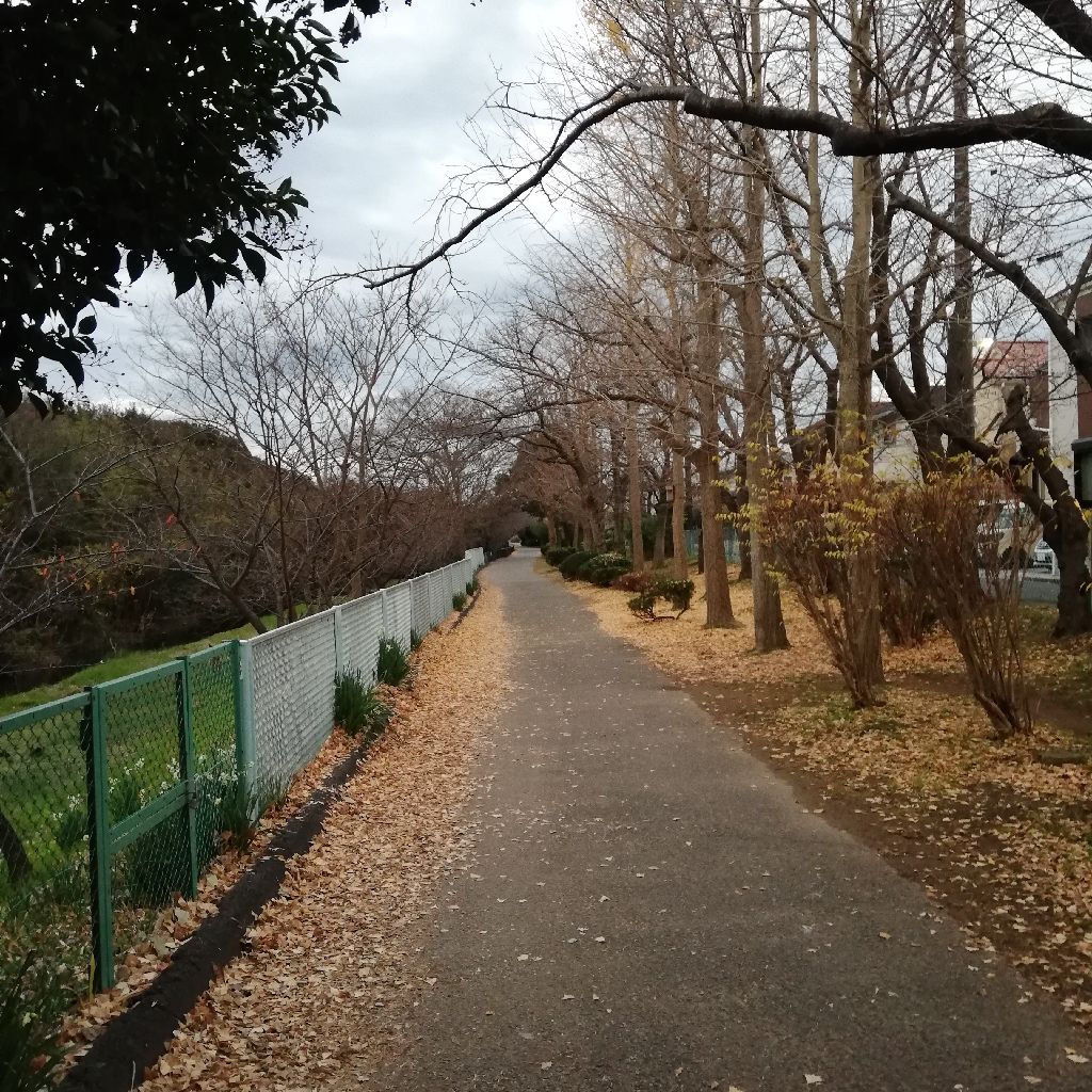 12/30 6時半の声日記☡✍ from Radiotalk episode artwork