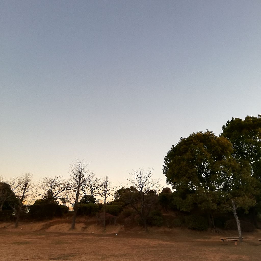 1/21 6時半の声日記☡✍ from Radiotalk episode artwork