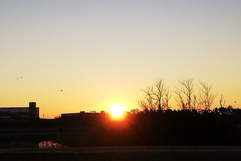 おれの生きる目的