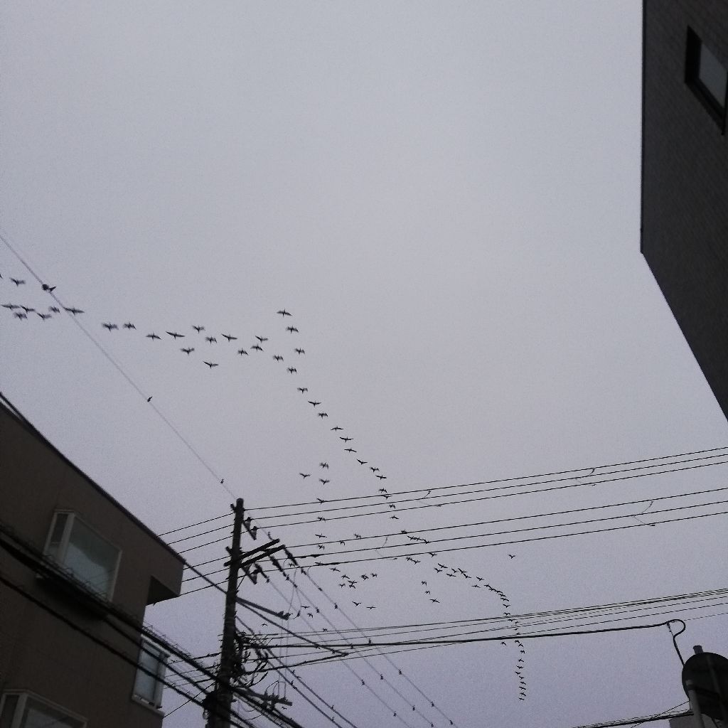 1/24  6時半の声日記☡✍ from Radiotalk episode artwork