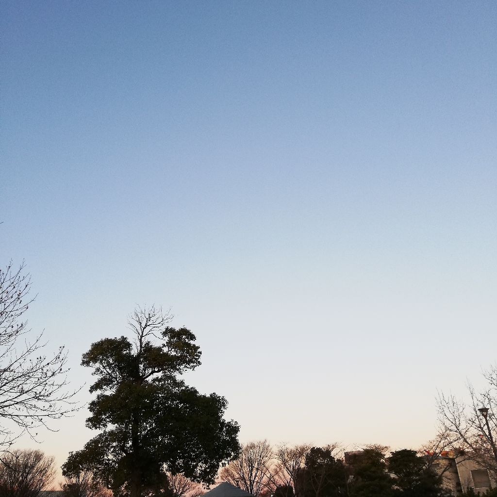 1/26 6時半の声日記☡✍ from Radiotalk episode artwork