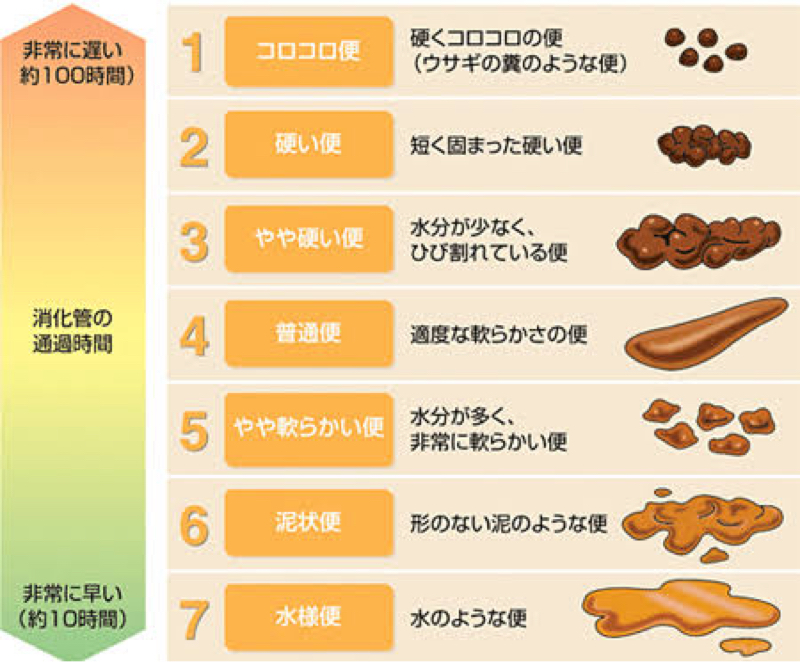 排便コントロールをはじめる from Radiotalk episode artwork
