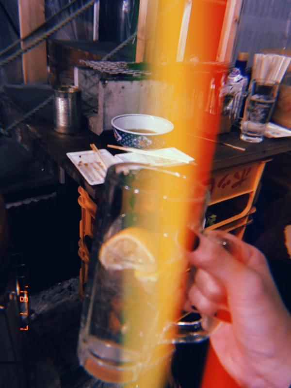 とりあえず喋ってみたよ