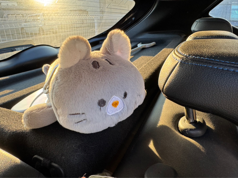 しずく🐾ᵕ̈ (おれ、かいぬし)