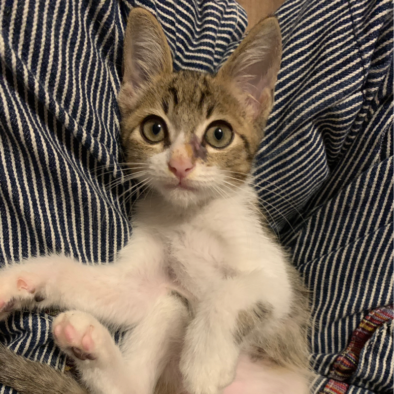 しずく🐾ᵕ̈ 