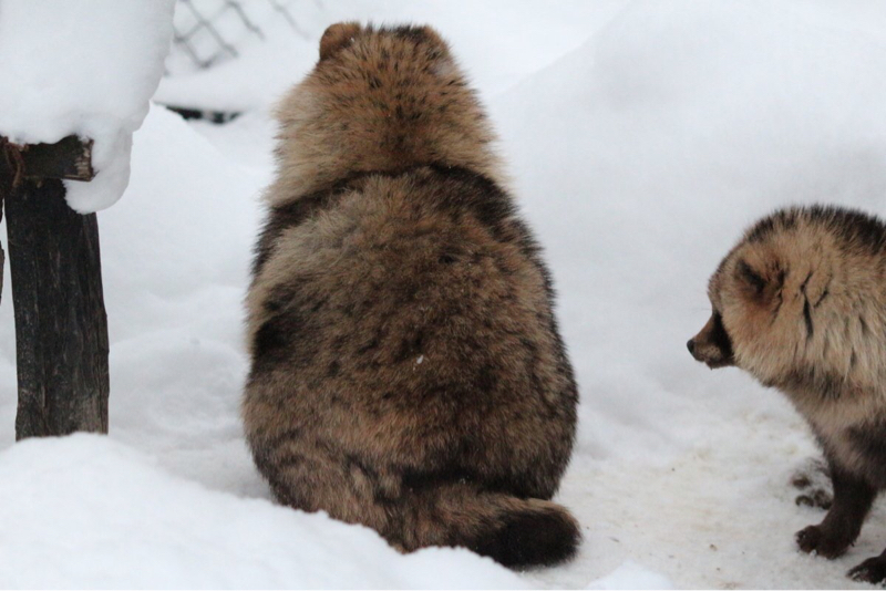 ぬかづけradio  一本目