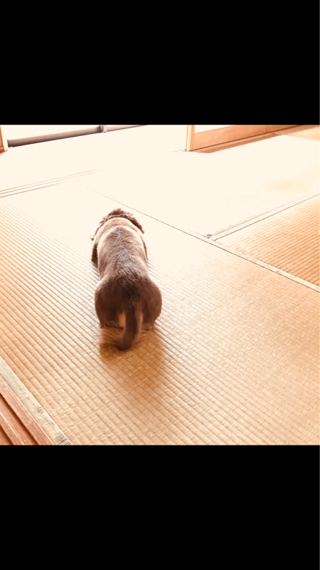 ▽20 お仕事まえ