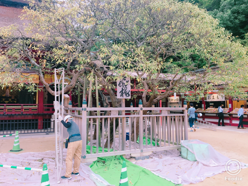 初回！今日のできごと！