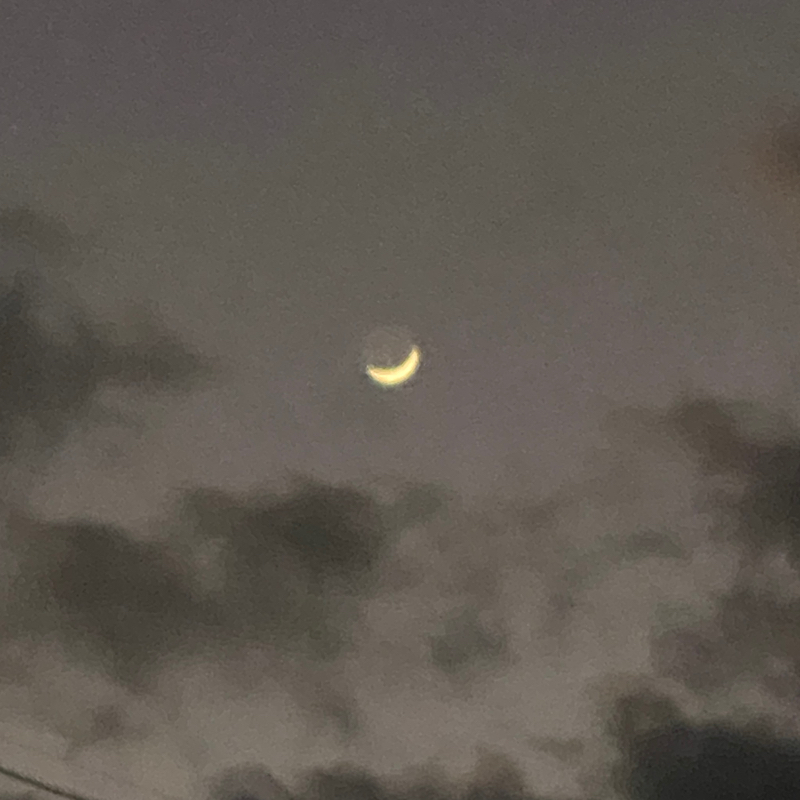 🎤世界はそれを愛と呼ぶんだぜ✨サンボマスター🐟