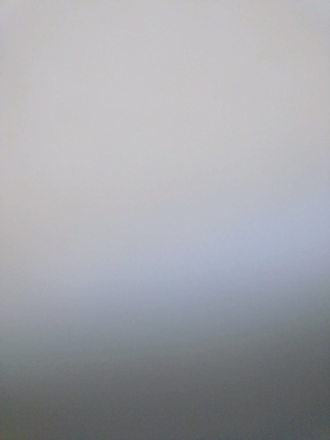 化粧の話しかしねえこいつ