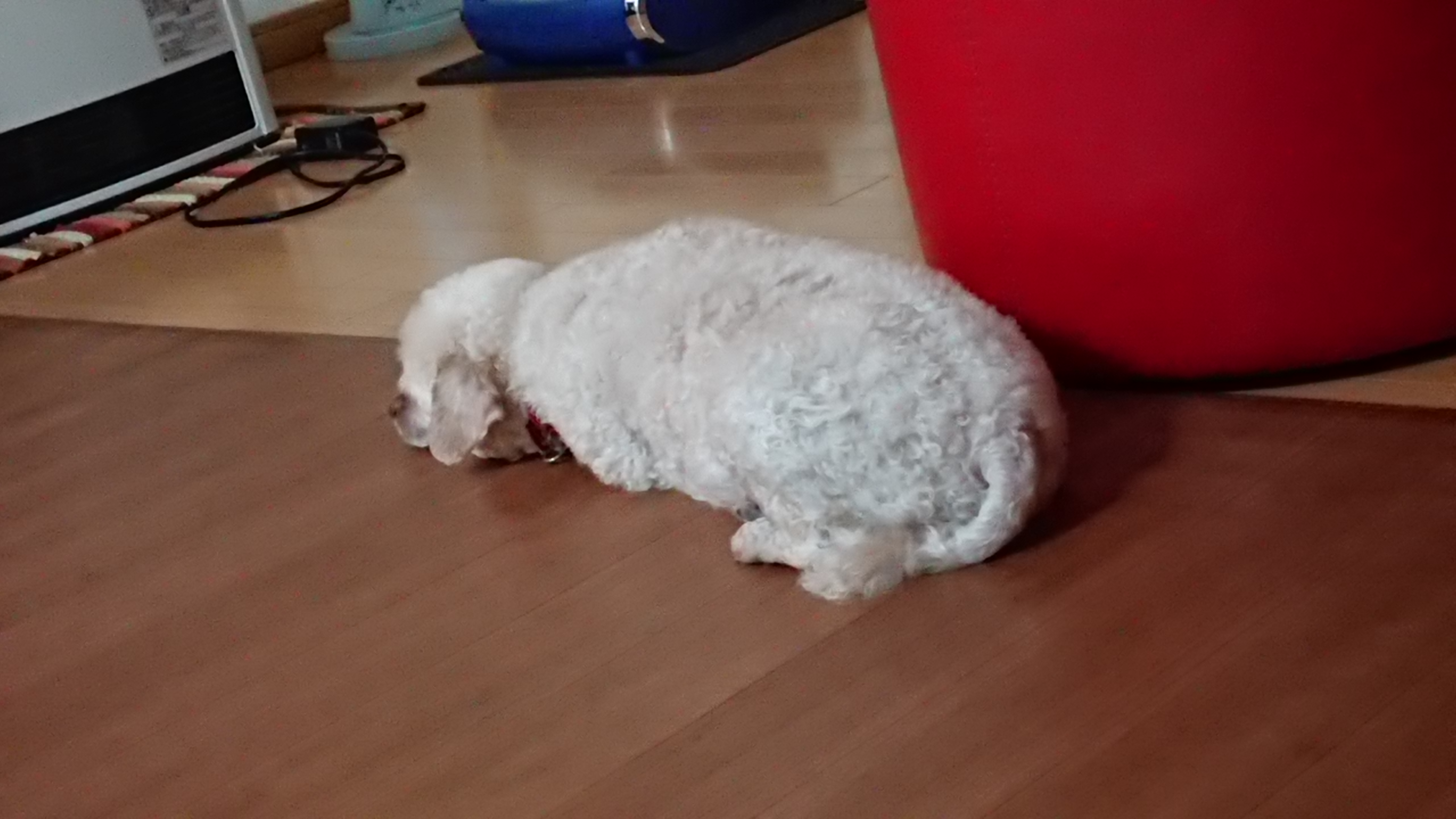 まいなす１８度