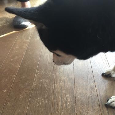 引きこもりの人のぼやき#2