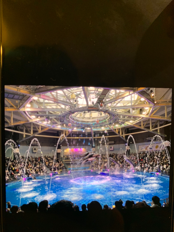 #16 めんこいの習字でポケモンGO