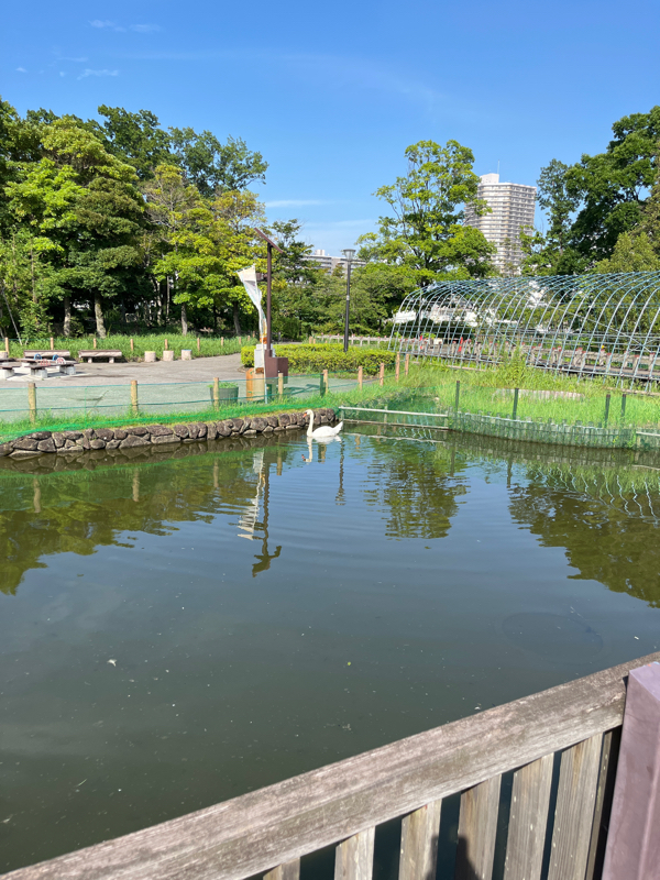 #86 めんこいの習字でポケモンGO