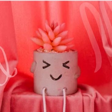 #24　この一月の奇跡♪