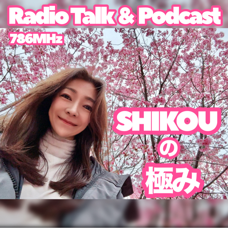 #503『ちはる♡めがへるつ』“SHIKOUの極み”カレーの話