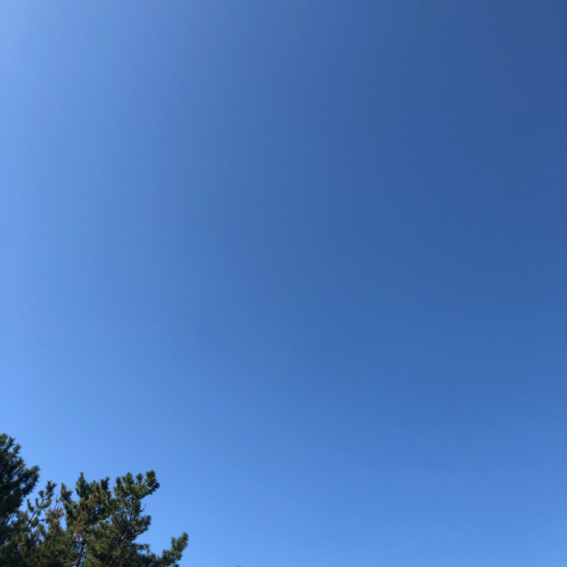 ラジオの配信始めました！