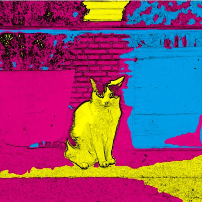 あなぐらから、こんにちは