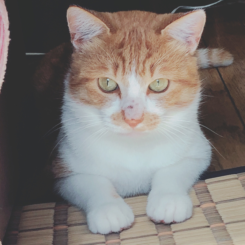 年末スペシャル 