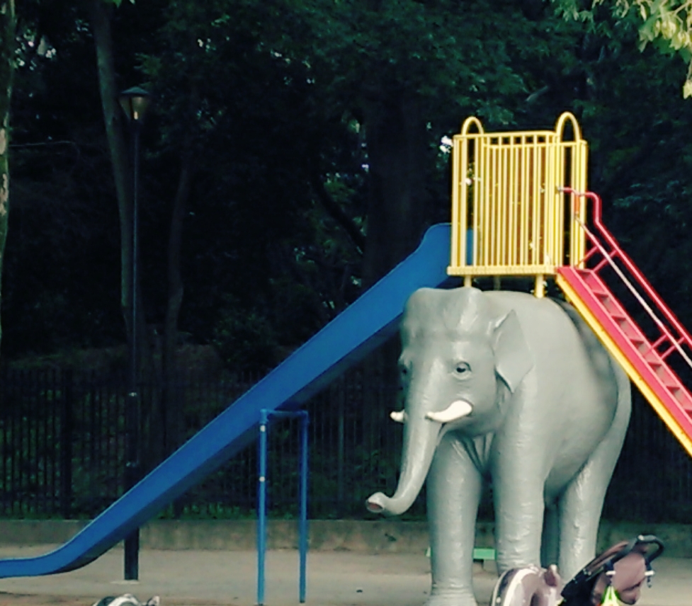 観たいときに観に行く