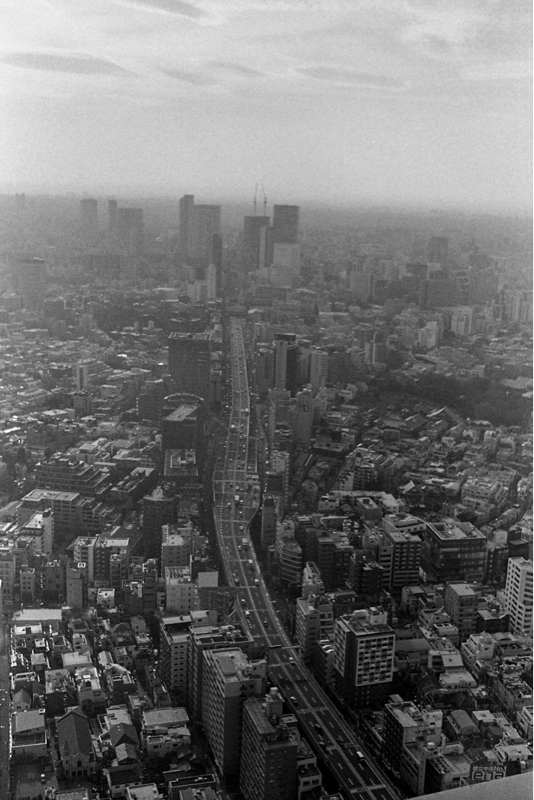 丸の内サディスティック / 椎名林檎 唄ってみますた