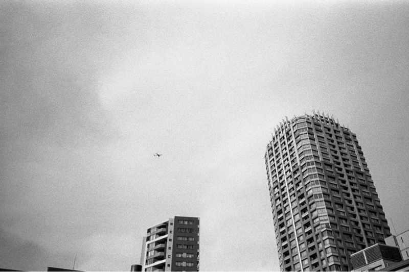 満ちてゆく/藤井風 唄ってみますた