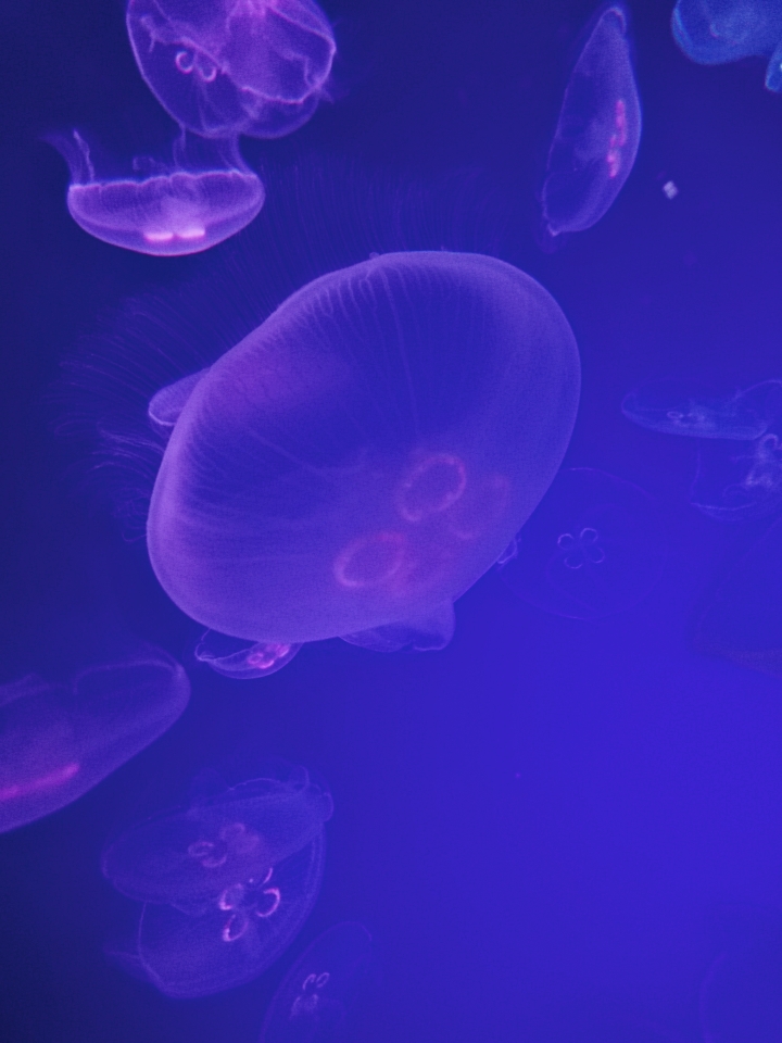 #1 自己紹介とか