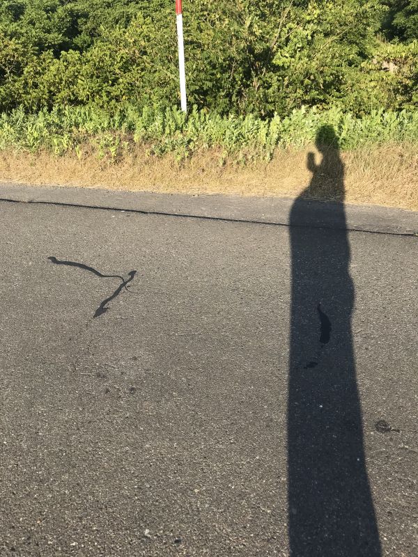 #2 産休に入ってはじめたこと