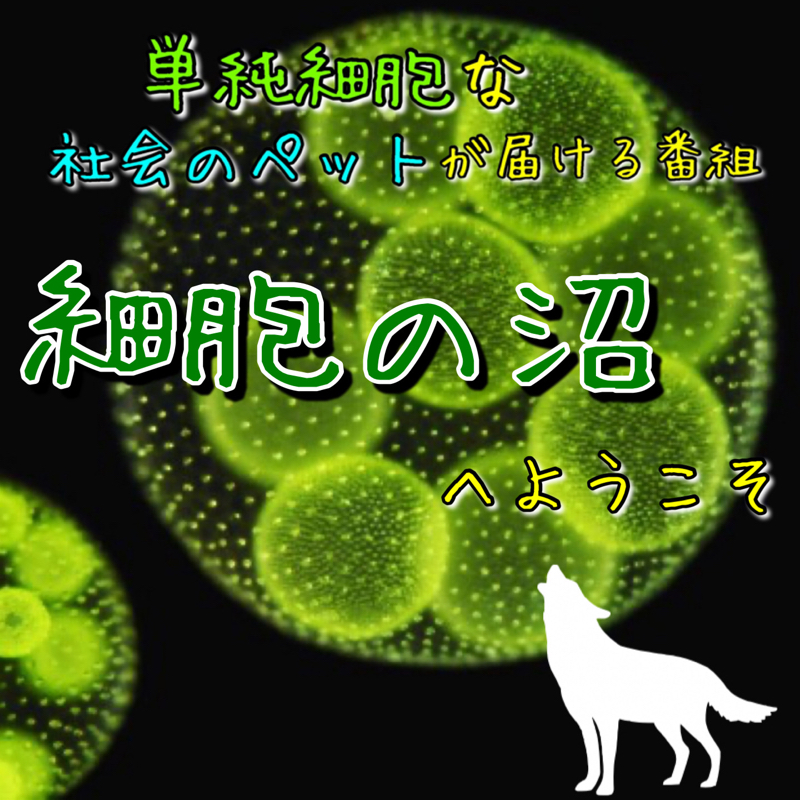 嬉しいことがあったよ！