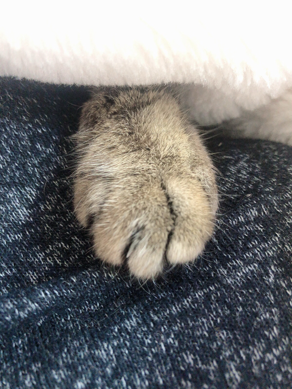 #16 喉風邪 転職してないのにもう疲れてる マッチングアプリの宇宙