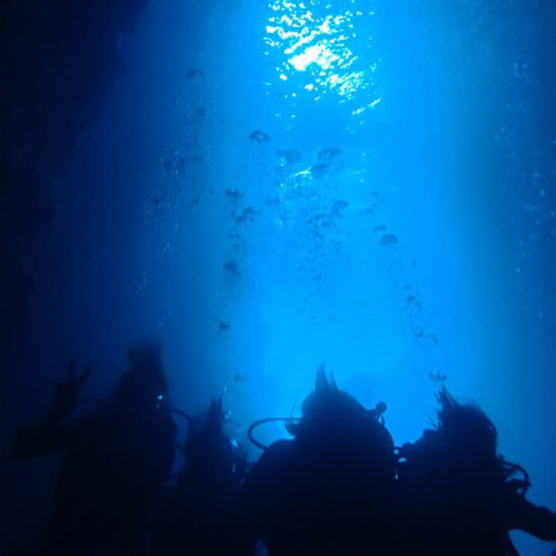 夢小説のはなし？