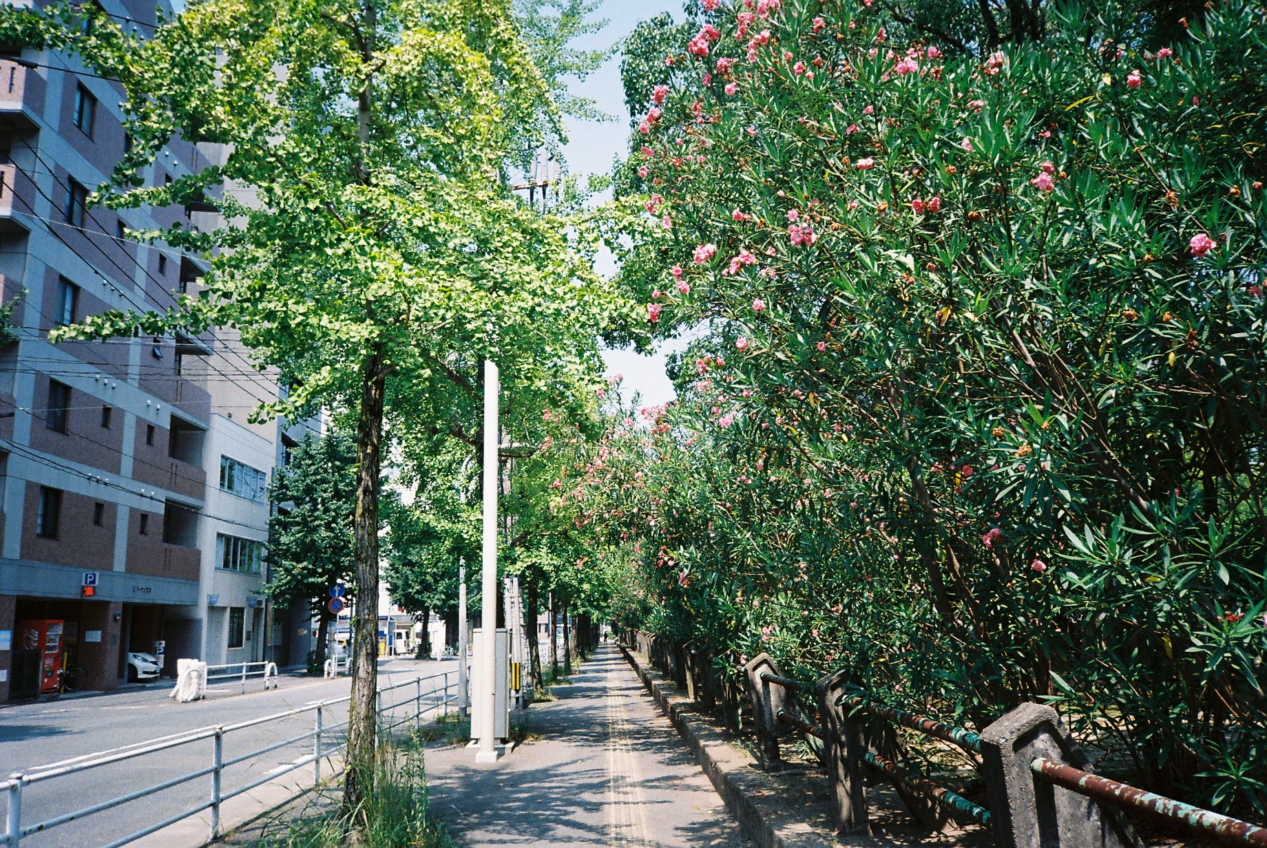 20代後半が人生の始まりです。
