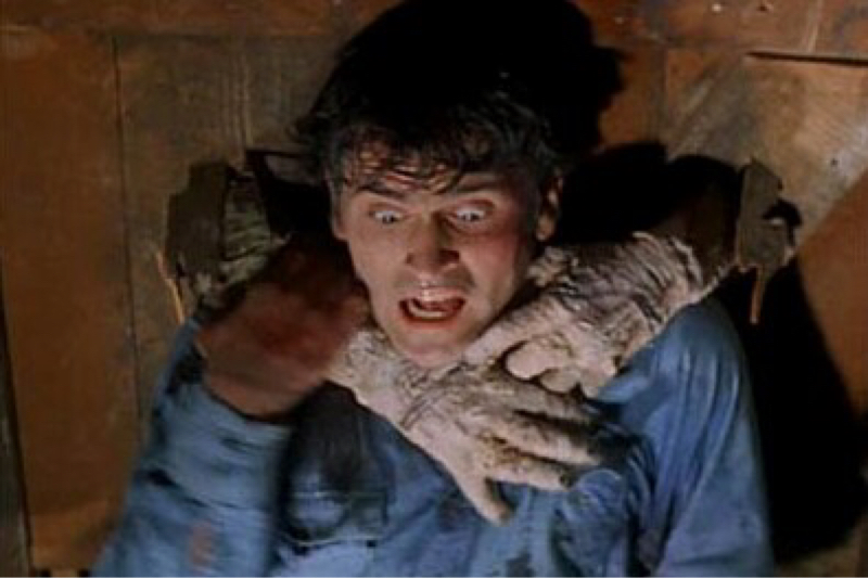 私がおやつを持ってると勘違いした毛玉