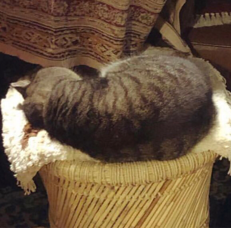 質問に答えてる②