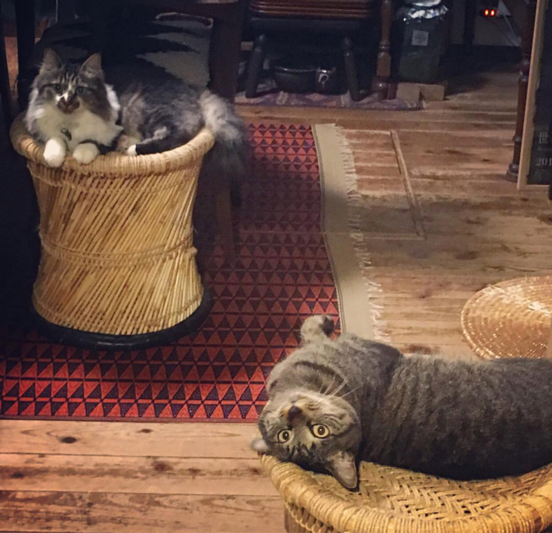 ふぁんたび見たぞ