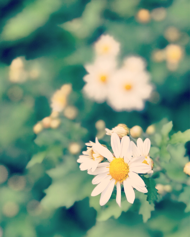 夫には聞かれたくないです。