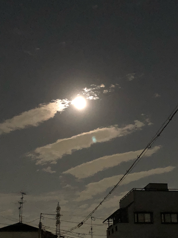 伝説のサンドイッチ投げられ事件。