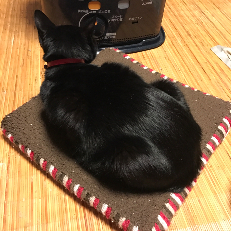 スプラトゥーンしながらぶつ切り夢トーク