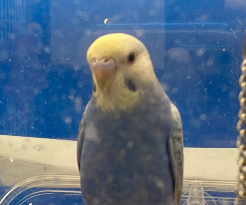 何かと物入りですね