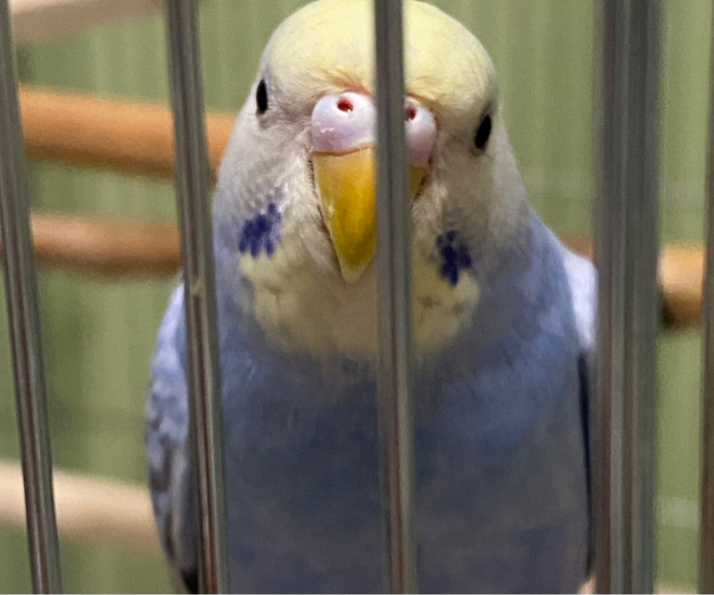 止まってくれた