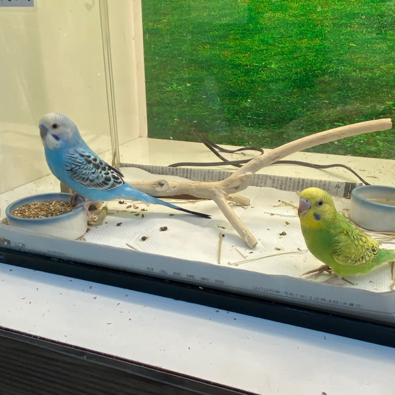 2025/12/18思いのほか全員可愛かった