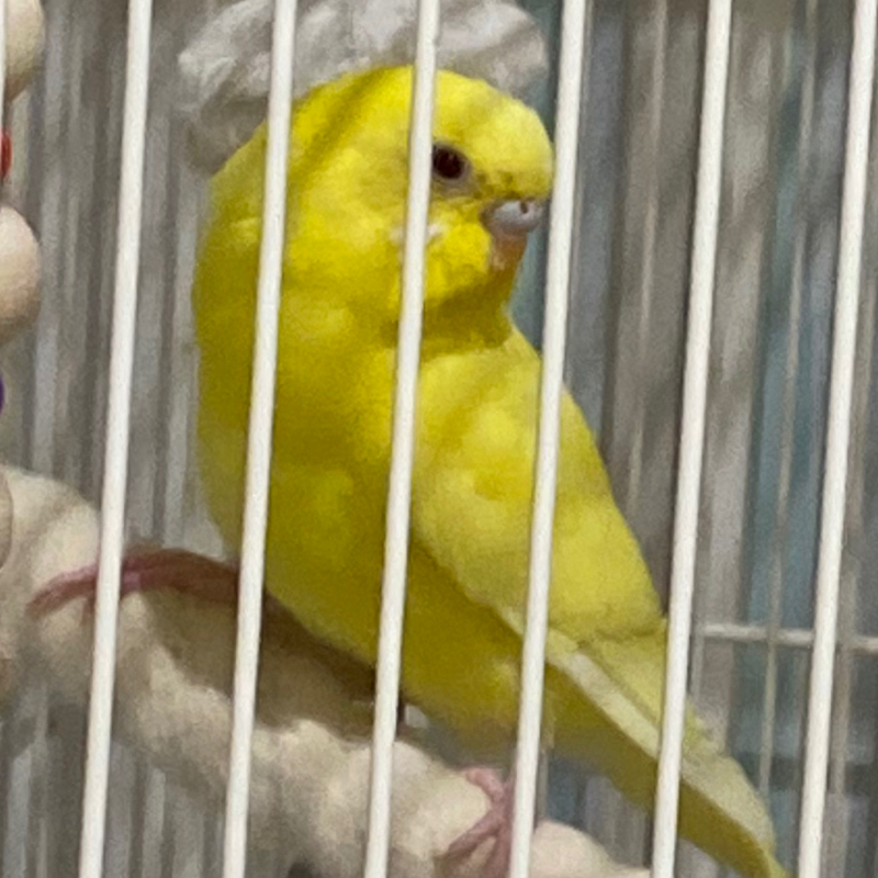 昨日に引き続き