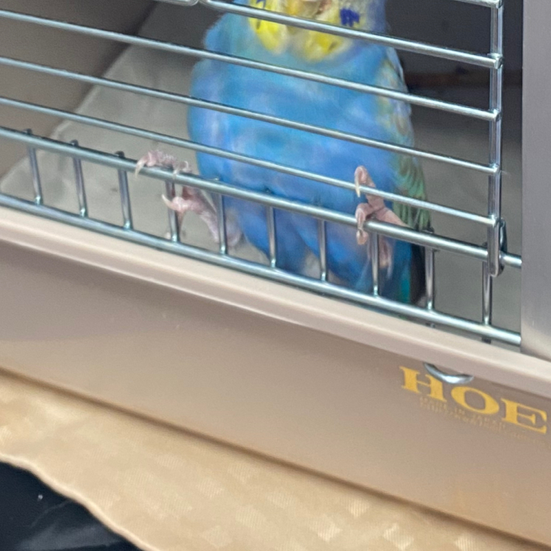 お勧めしませんよ