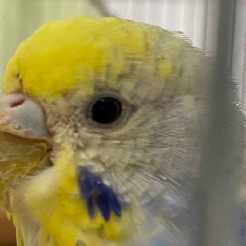 ぼったくり？