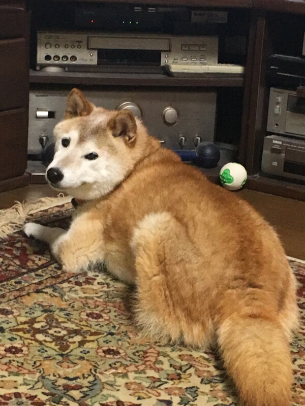 #第2回「雪と副詞と広辞苑ゲーム」