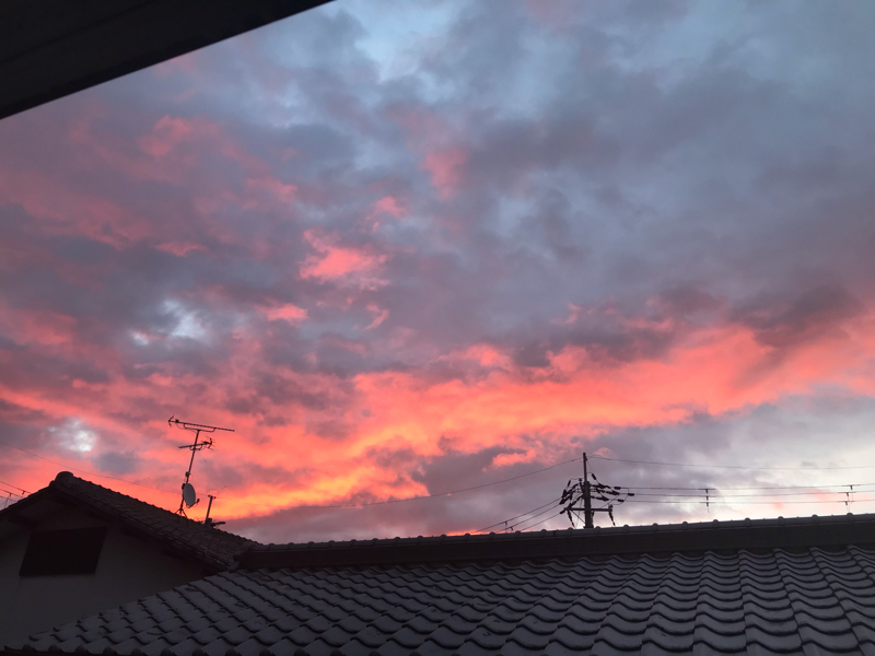 とっても嬉しいメッセージ♡