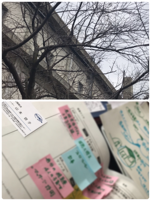 事業計画と、春待ち桜🌸