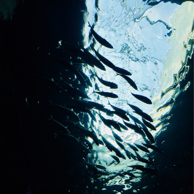 ポエマーになりたい 01