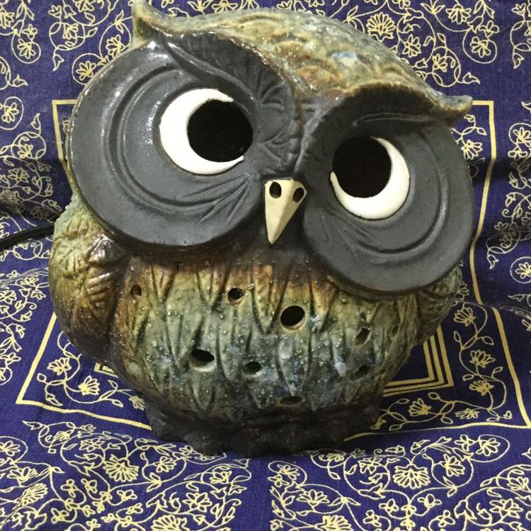 鹿茸ニーナの百科繚乱