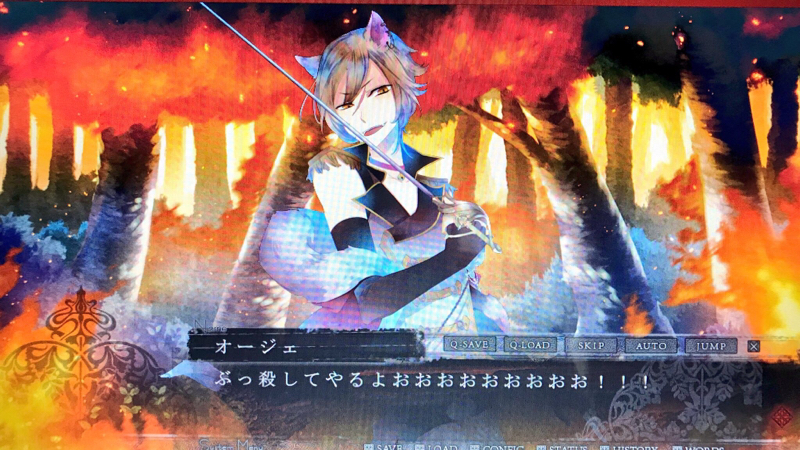 乙女ゲームCDの男たちに物申したいこと